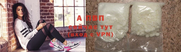 СК Верея