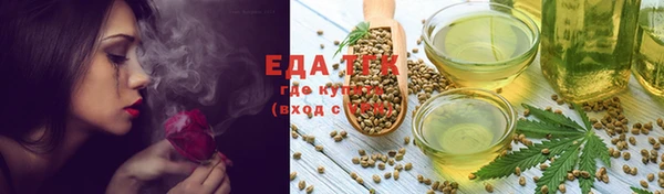 мдпв Бородино