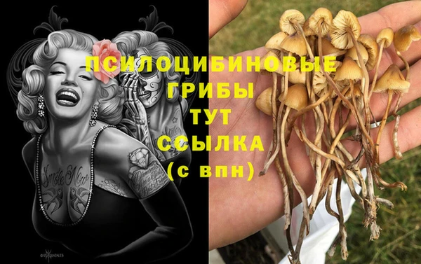 мдпв Бородино