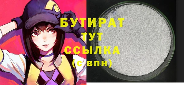 мдпв Бородино