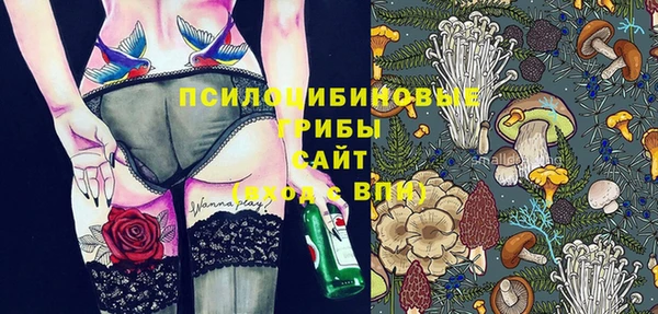 мдпв Бородино