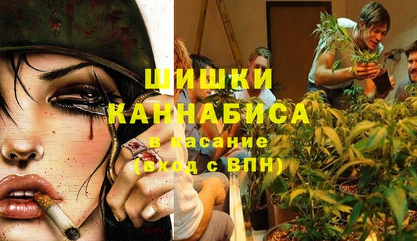 бошки Бронницы