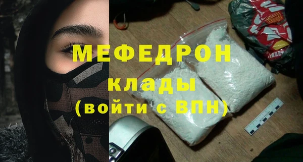 мдпв Бородино