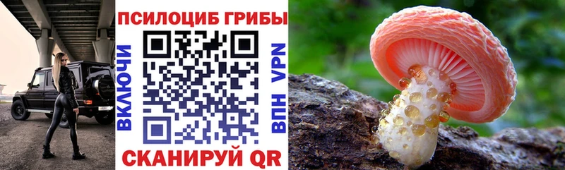 наркотики  Малоярославец  гидра зеркало  Псилоцибиновые грибы мицелий 