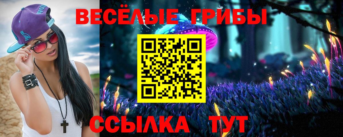 Малоярославец  Псилоцибиновые грибы Magic Shrooms  купить наркоту  Вход с VPN 